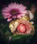 Blommor