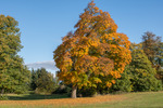 Borgeby slott parken