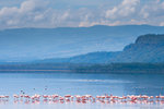 Lake Nakuru #2