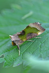Mittfältsdelat metallfly