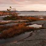 Rossö