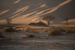 Early morning at Sossusvlei