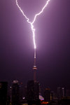 Toronto Lightning