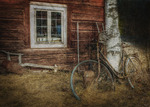 Bicycle Race