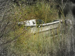 Forgotten boat.