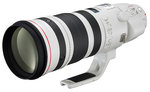 Canon EF 200-400mm f/4 L IS USM (Extender 1,4x)