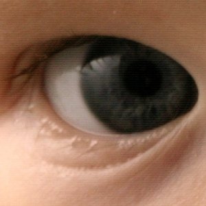 4d5t9544.jpg