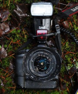 MF091213-DSC_1727.jpg