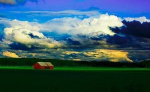 Barn in the sun.jpg