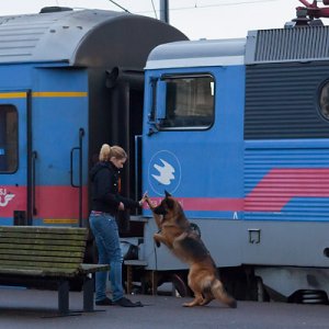 Tjej med hund Kalmar Central 091125.jpg