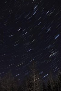 Startrails (Custom).jpg