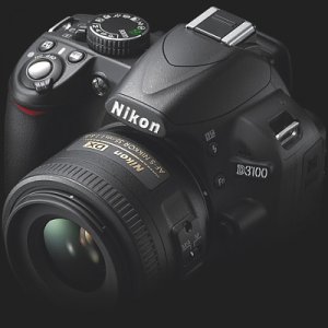 D3100.jpg
