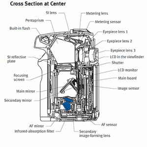 40D-cross-section.gif