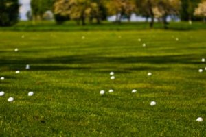 golfballs_in_grass.jpg