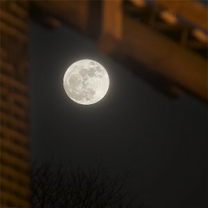 Moon_19mars_2011.jpg