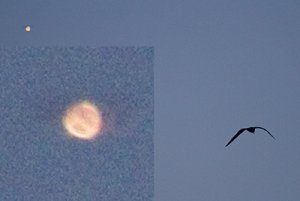 _MG_2327 som smart objekt-1.jpg