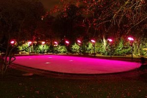 img0033_till foto.jpg