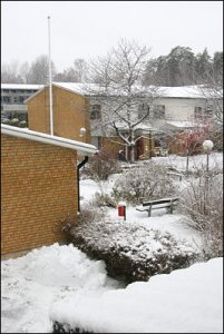 snö2jpg.jpg