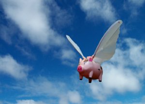 pigs_can_fly.jpg