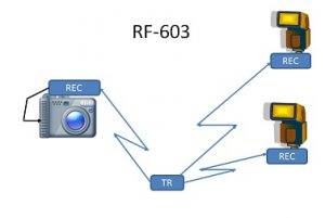 RF603.jpg