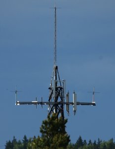 mast_400.jpg