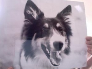 Bild 2012-08-30 kl. 09.33.jpg