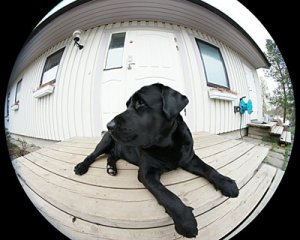 bästis-fisheye-400.jpg