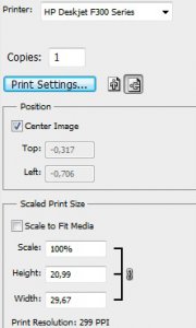 Print setting.jpg