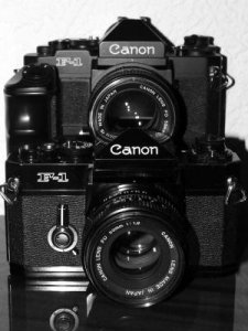 Canon F-1N and F-1n.jpg