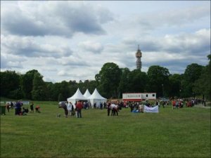 Blodomloppet_på_Djurgården_i_Stockholm_7_6_2012.jpg