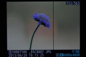 DSC_1360.jpg DSC_1360.jpg