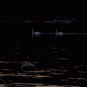 20130620_9371.gif