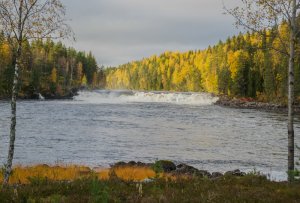 Fotosidanvilken ä rplatsenB Inför Härjedalen  2013-3.jpg