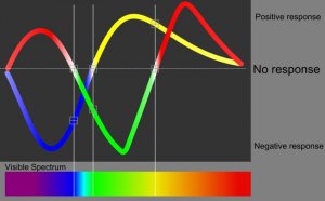 Color_perception.svg.jpg