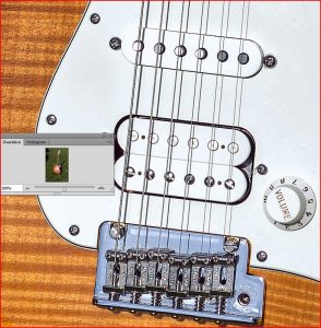 fender2.jpg