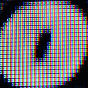 2 100%Crop O ur Nikon .jpg