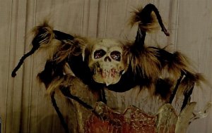 Spindel skärmdump.jpg