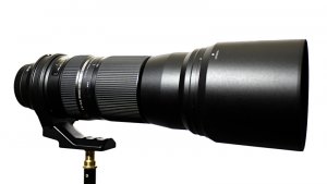 Tamron 150-600_800px.jpg