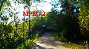 mpeg-2.jpg