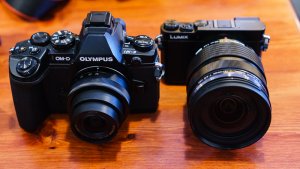 Olympus OM-D EM-1, Panasonic GM-5_2014-11-01_640px.jpg