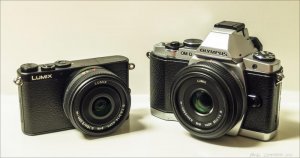 Panasonic GM1 vs Olympus E-M5 (500px).jpg