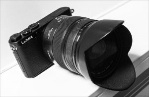 Panasonic GM1 with 12-35.jpg