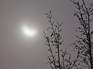 EclipseSTHLM20150320001liten.jpg