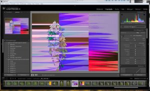 Lightroom4-problem.jpg