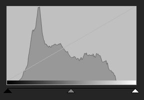 Histogram för 4145.jpg