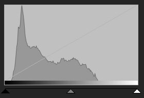 Histogram för 4146.jpg