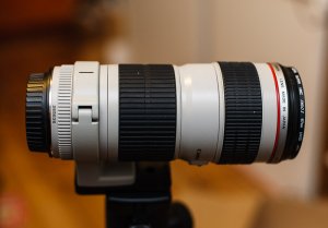 Canon EF 70-200 mm f-4L (non beige)_2005-12-28.jpg