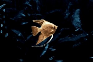 efterbehandling 041226 simon tirkel 03jpg.jpg