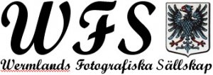 wfs_logo_01.jpg