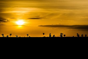 Tanzania Safari 2012 -154-2_DxO_2.jpg